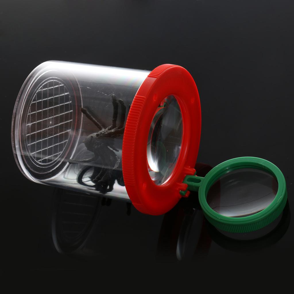 Kit de observación con lupa de - Science Nursery reseña y precio