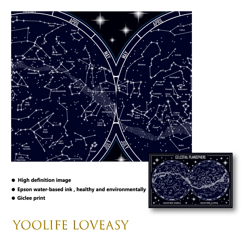 Mapa del planisferio Celestial - Star Map Poster reseña y precio
